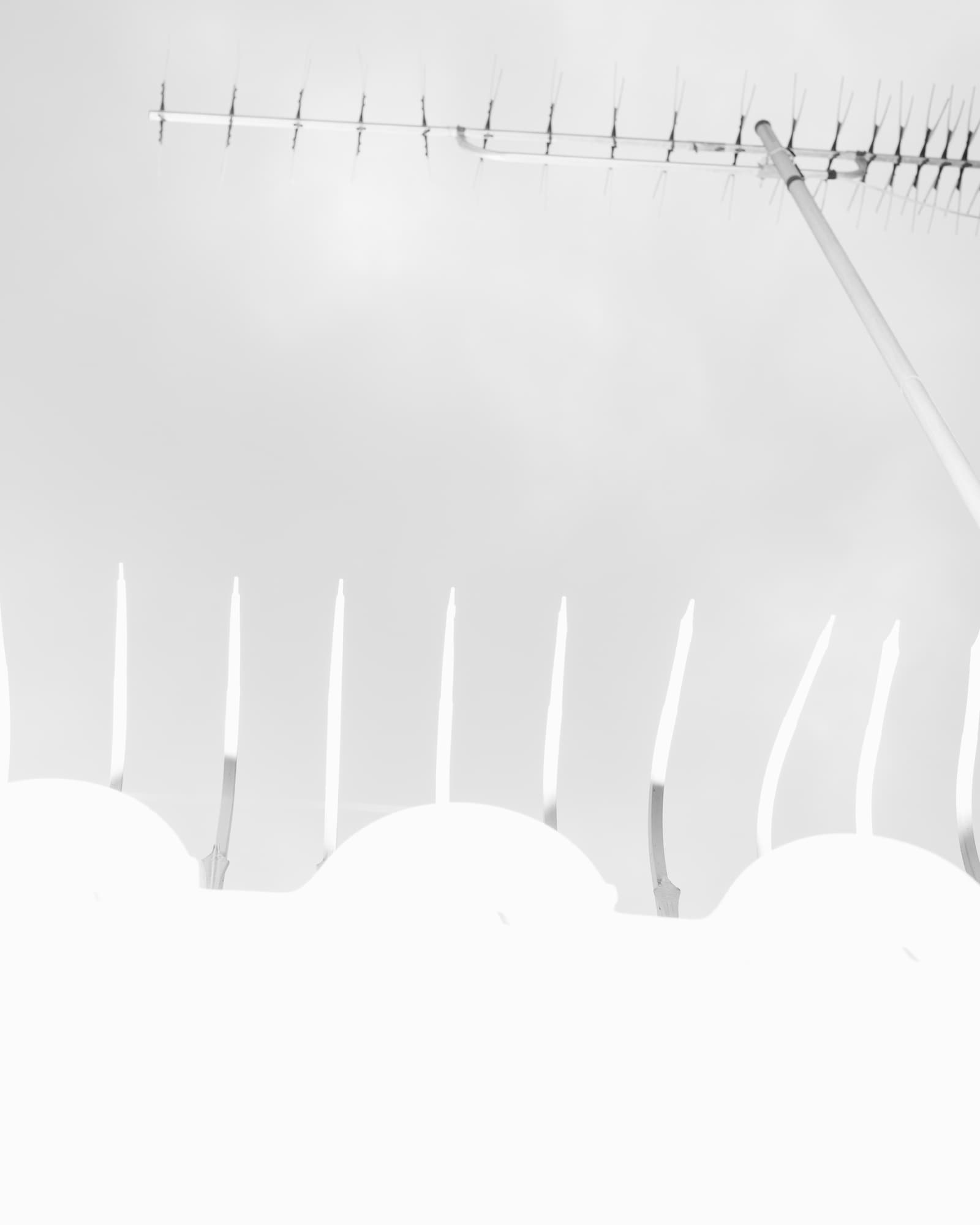 Max Korndörfer LDFEF-6