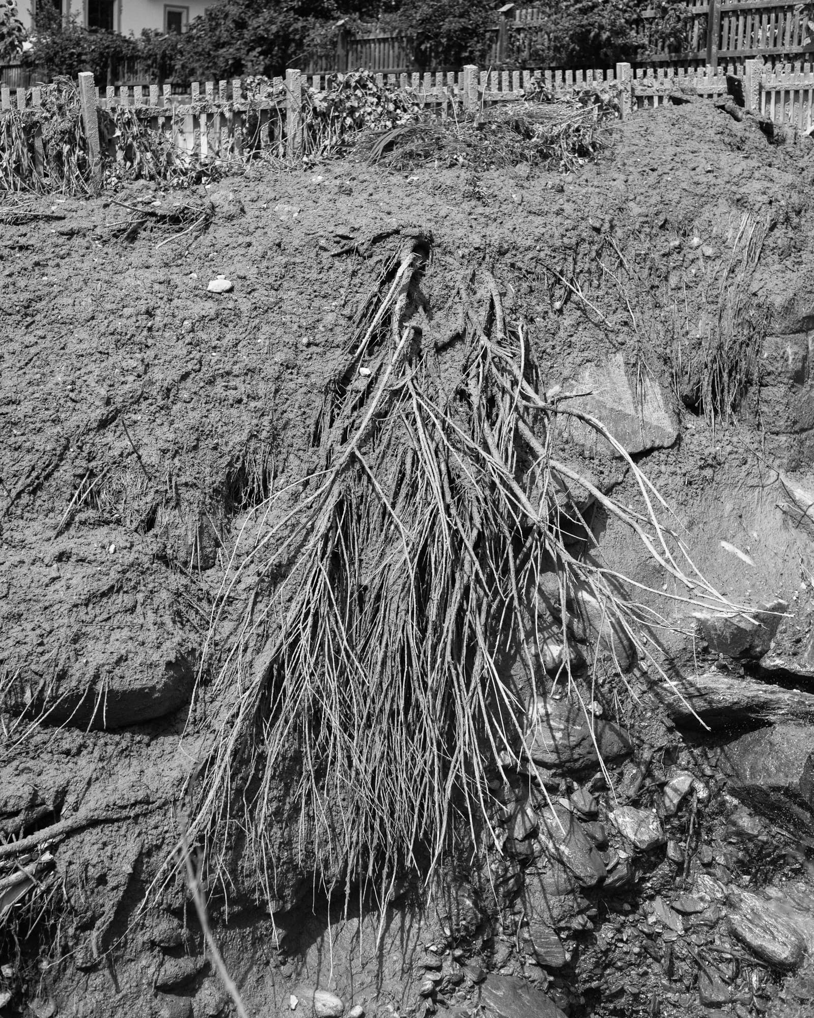 Max Korndörfer LDFEF-7