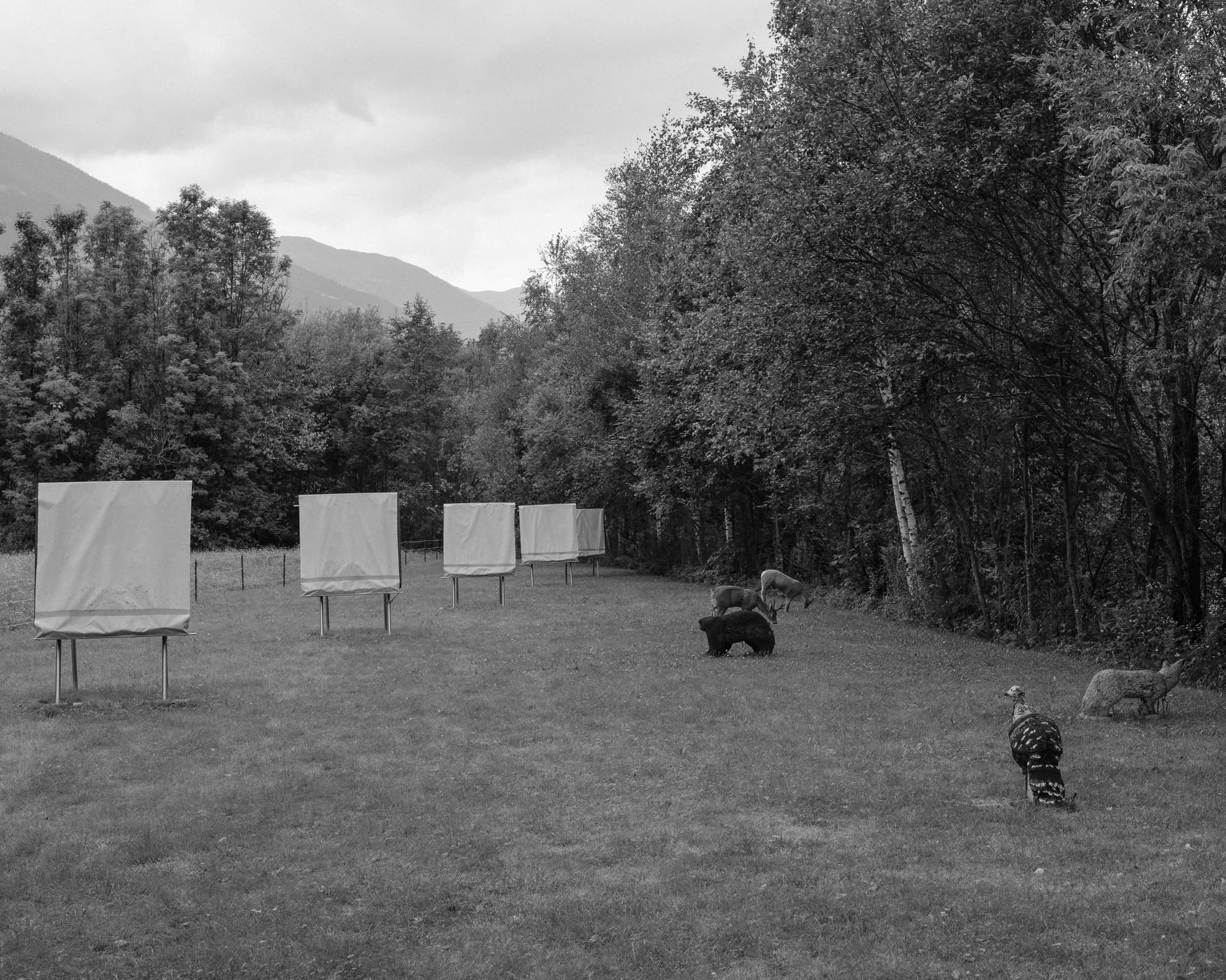 Max Korndörfer LDFEF-9