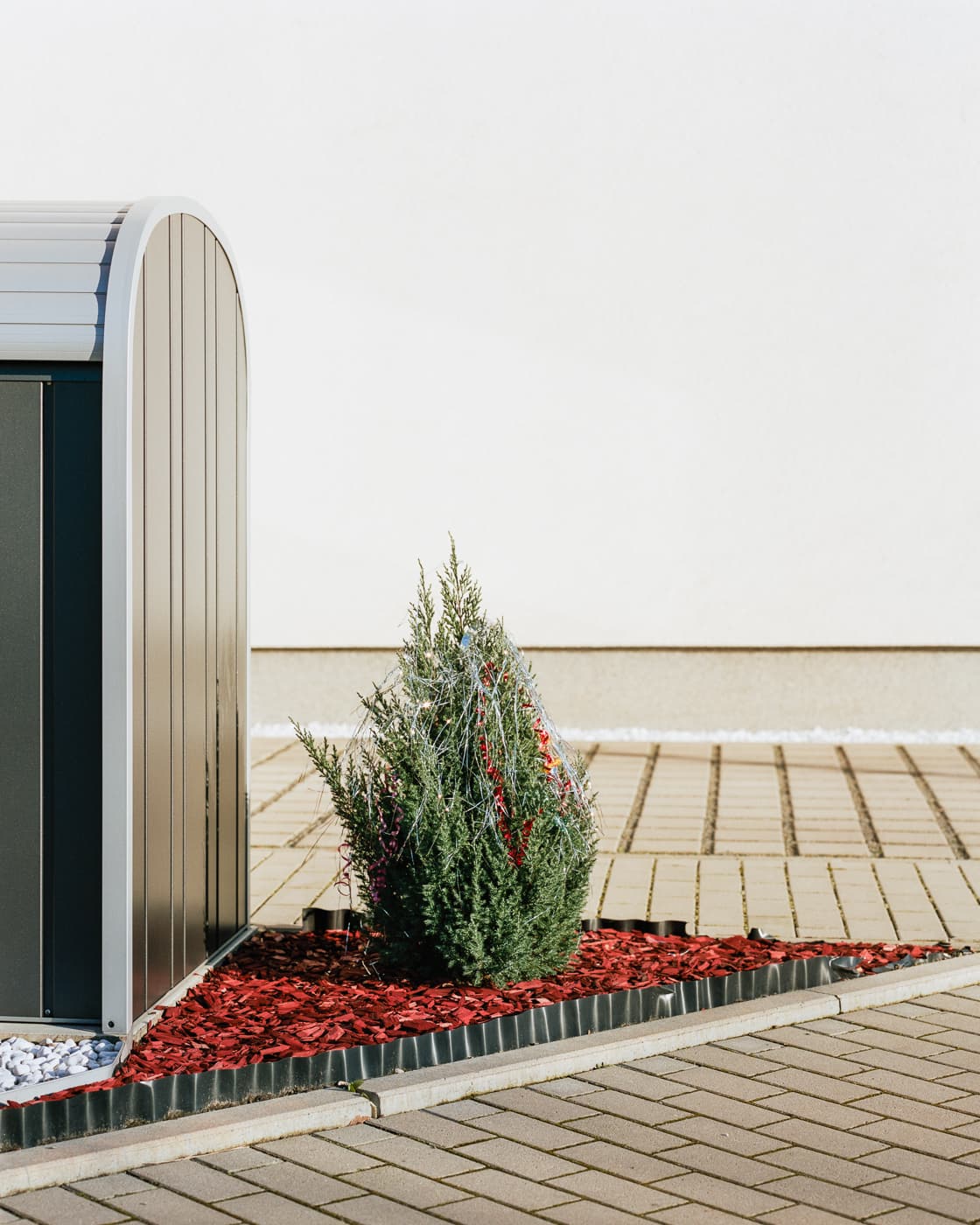 Max Korndoerfer-Zaunkoenig-15