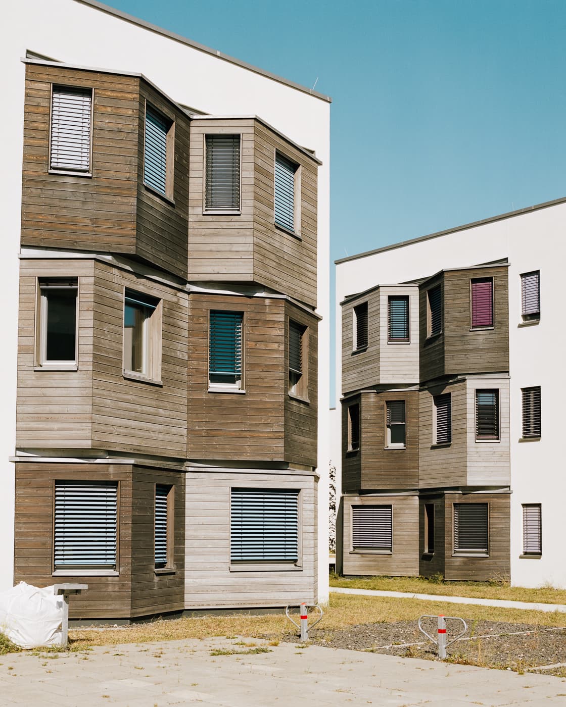 Max Korndoerfer-Zaunkoenig-3