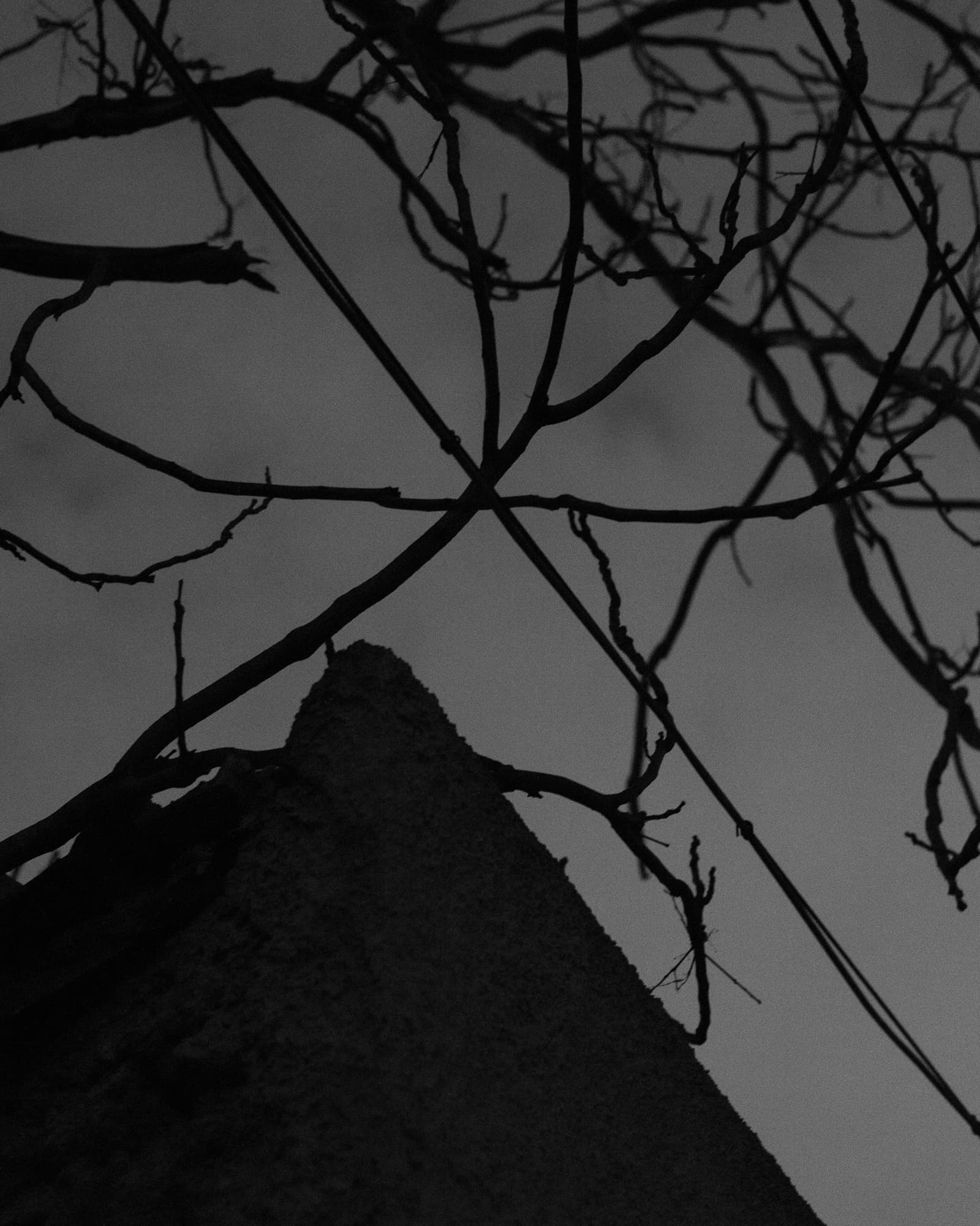 Max Korndörfer LDFEF-10