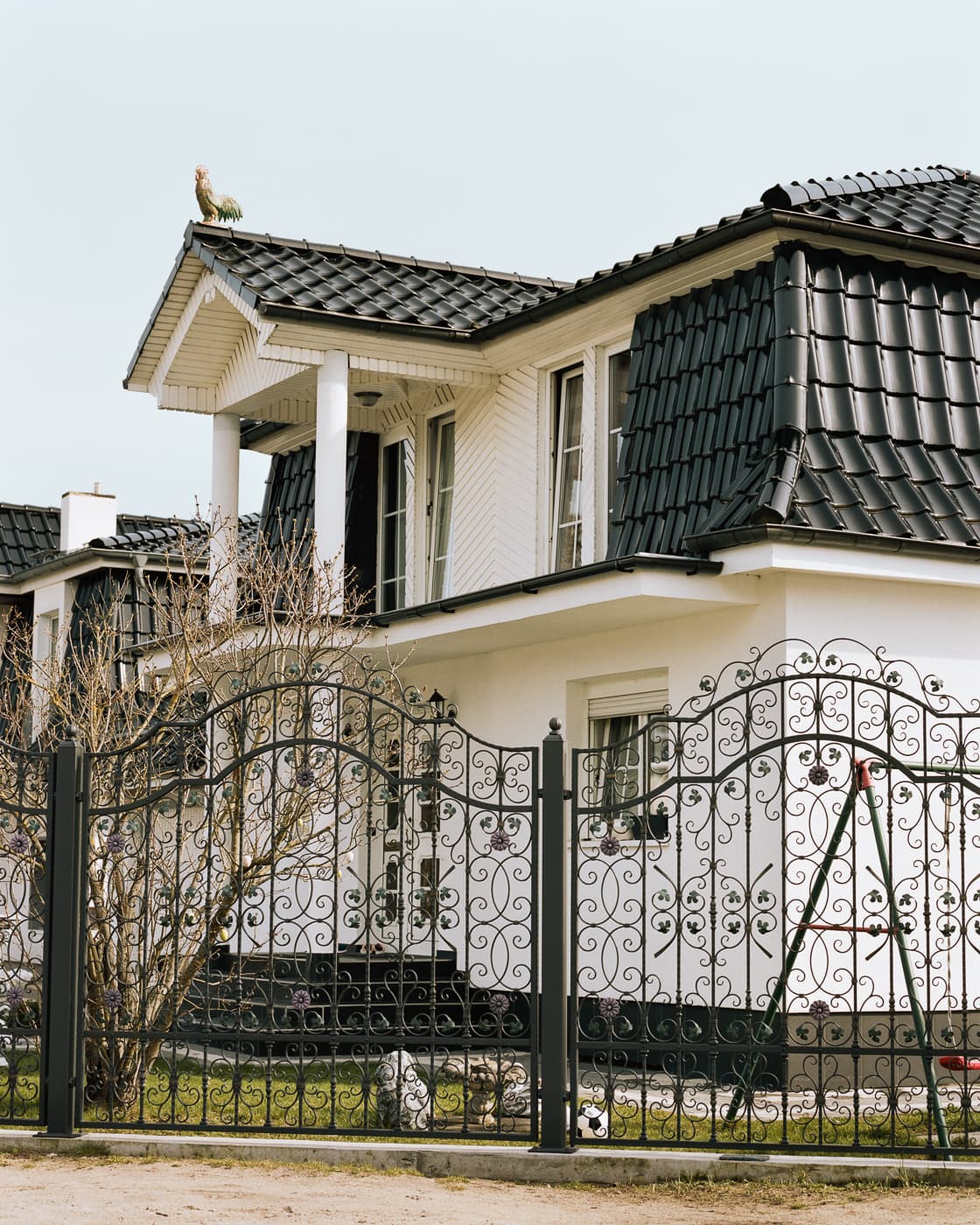 Max Korndoerfer-Zaunkoenig-4