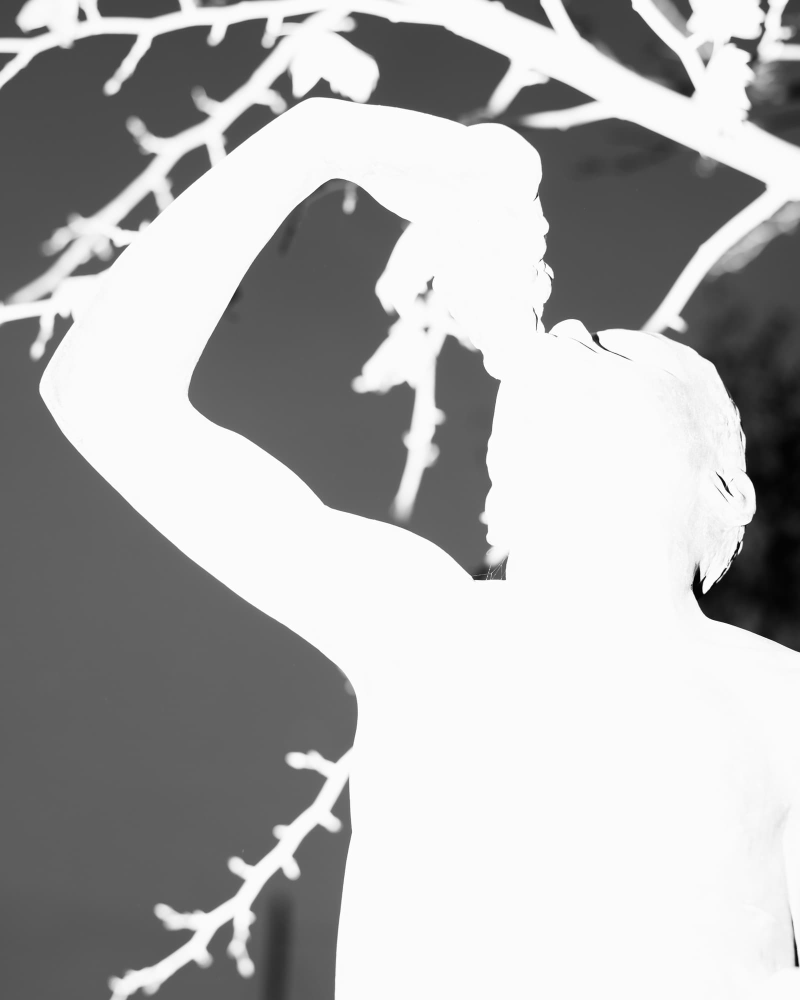 Max Korndörfer LDFEF-12