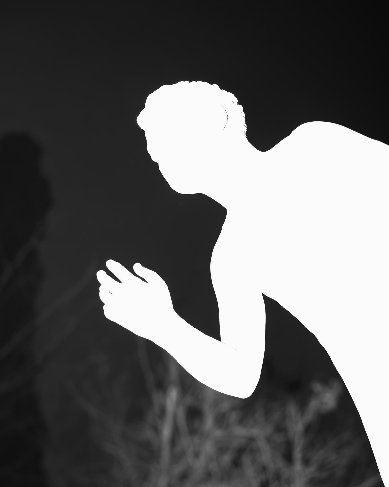 Max Korndörfer LDFEF-5