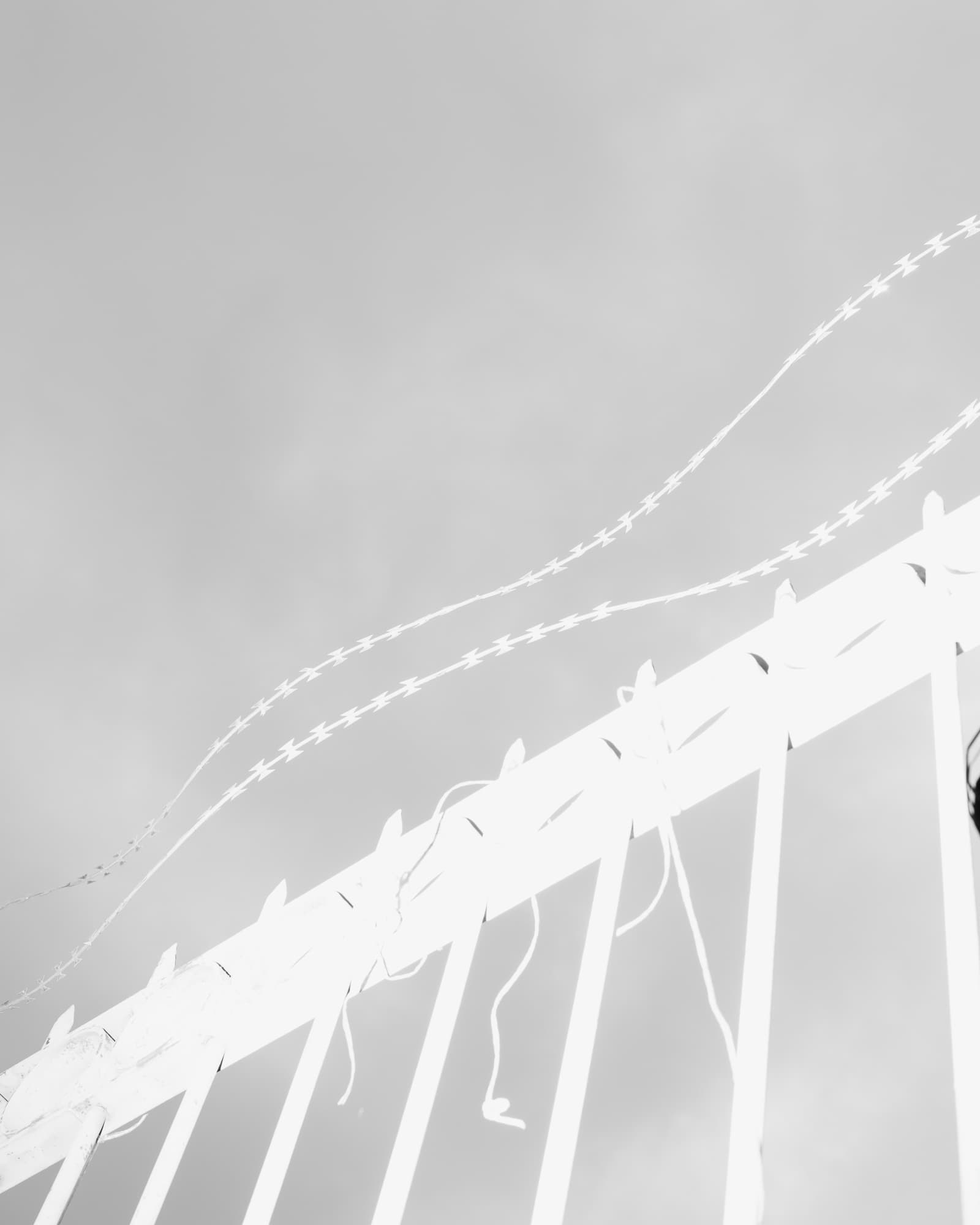 Max Korndörfer LDFEF-15