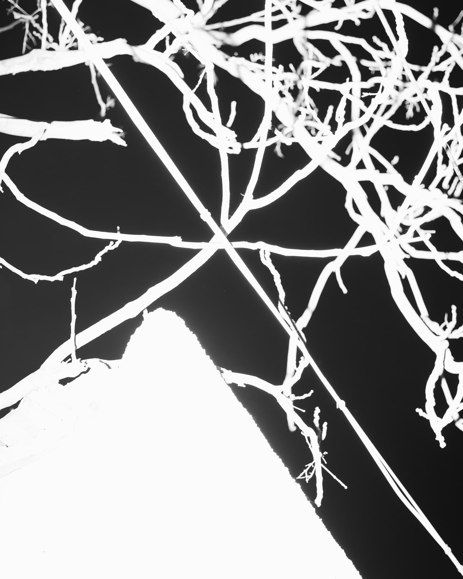 Max Korndörfer LDFEF-7