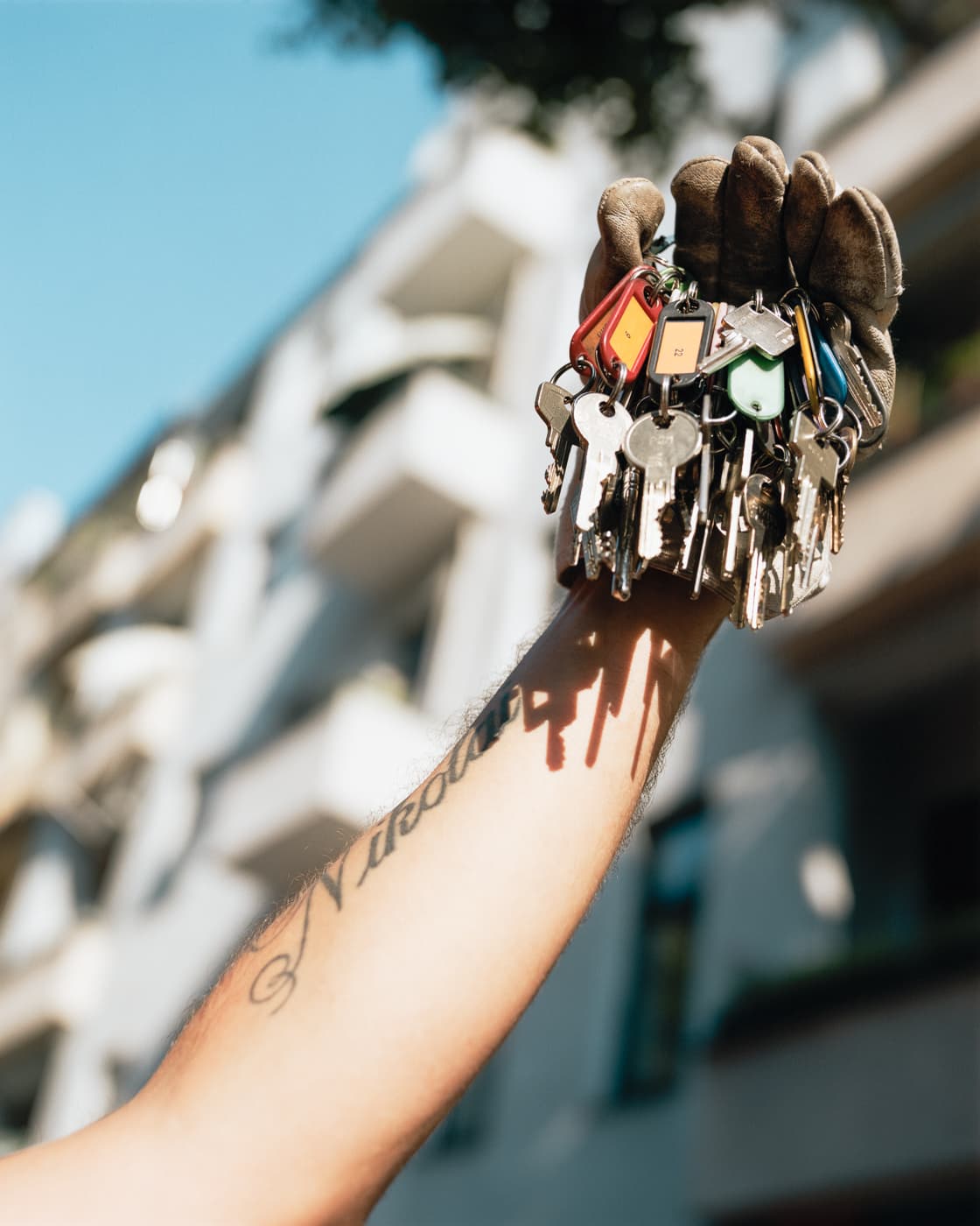 Max Korndoerfer-Zaunkoenig-5