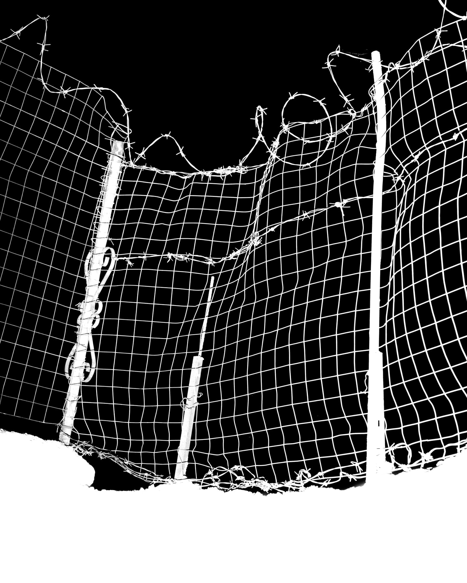 Max Korndörfer LDFEF-11